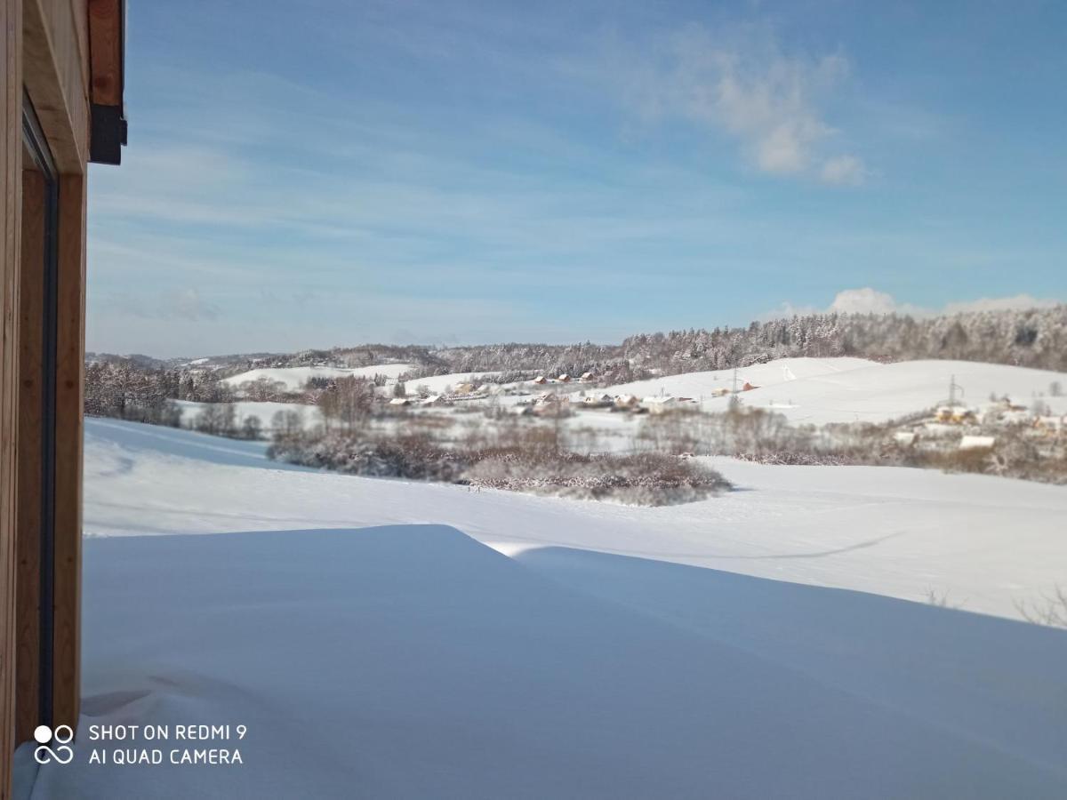 Domek Na Wzgorzu Villa Orelec Kültér fotó